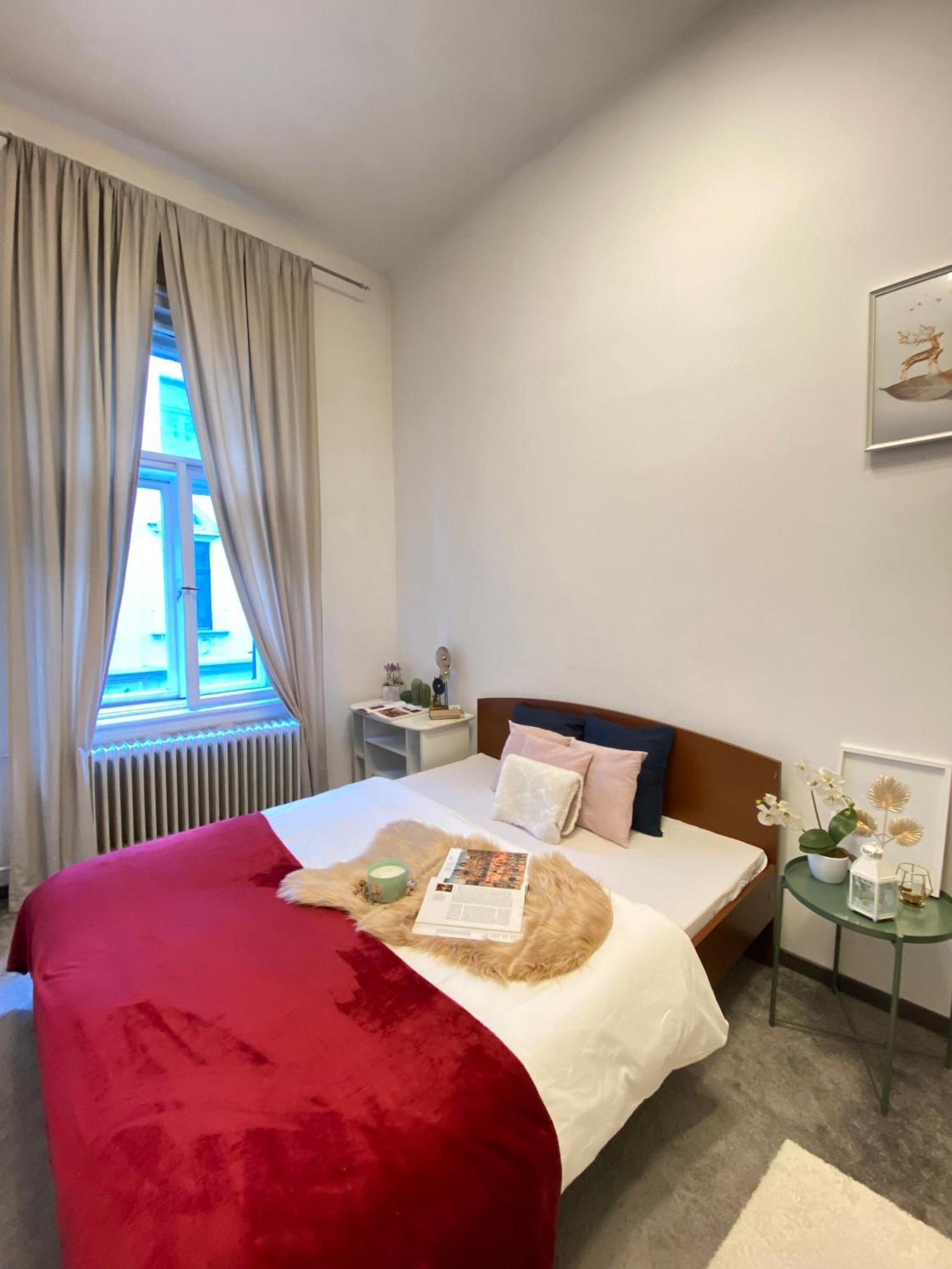 Sziv Apartment - Modern And Comfortable بودابست المظهر الخارجي الصورة